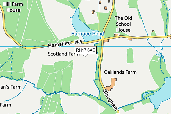 RH17 6AE map - OS VectorMap District (Ordnance Survey)