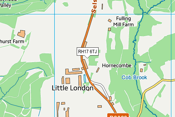 RH17 6TJ map - OS VectorMap District (Ordnance Survey)