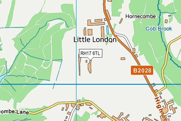 RH17 6TL map - OS VectorMap District (Ordnance Survey)