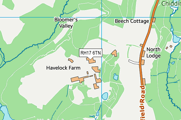 RH17 6TN map - OS VectorMap District (Ordnance Survey)