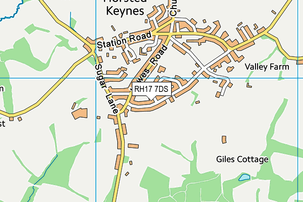 RH17 7DS map - OS VectorMap District (Ordnance Survey)