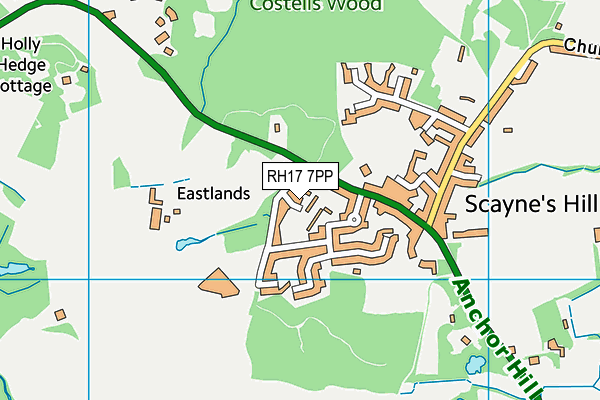 RH17 7PP map - OS VectorMap District (Ordnance Survey)