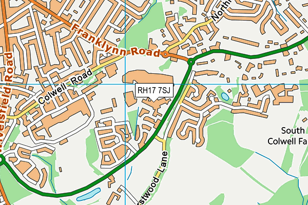 RH17 7SJ map - OS VectorMap District (Ordnance Survey)