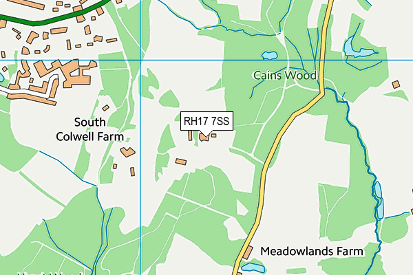 RH17 7SS map - OS VectorMap District (Ordnance Survey)