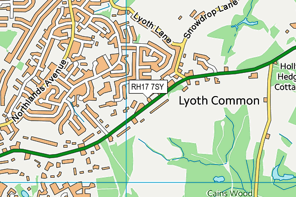 RH17 7SY map - OS VectorMap District (Ordnance Survey)