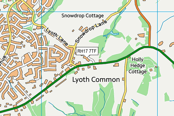 RH17 7TF map - OS VectorMap District (Ordnance Survey)