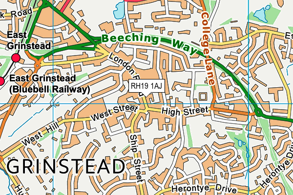 RH19 1AJ map - OS VectorMap District (Ordnance Survey)