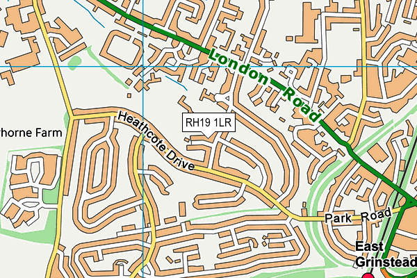 RH19 1LR map - OS VectorMap District (Ordnance Survey)