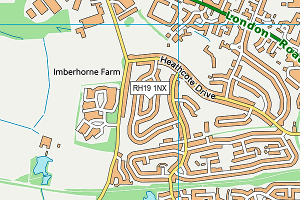 RH19 1NX map - OS VectorMap District (Ordnance Survey)