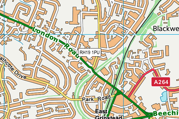 RH19 1PU map - OS VectorMap District (Ordnance Survey)