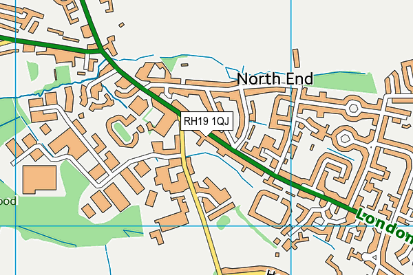 RH19 1QJ map - OS VectorMap District (Ordnance Survey)