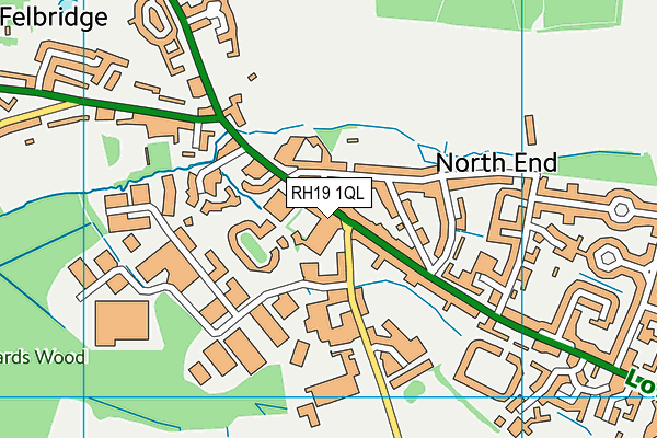 RH19 1QL map - OS VectorMap District (Ordnance Survey)