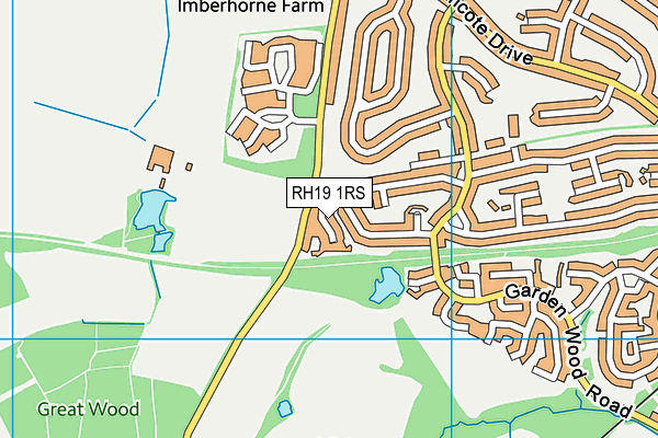RH19 1RS map - OS VectorMap District (Ordnance Survey)
