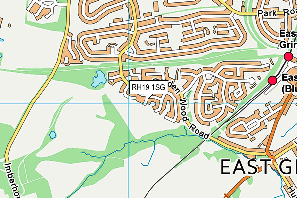 RH19 1SG map - OS VectorMap District (Ordnance Survey)