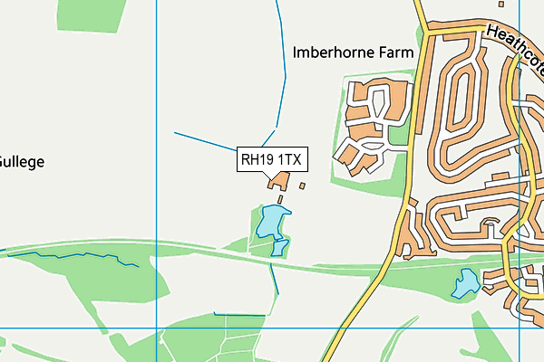 RH19 1TX map - OS VectorMap District (Ordnance Survey)