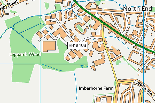 RH19 1UB map - OS VectorMap District (Ordnance Survey)