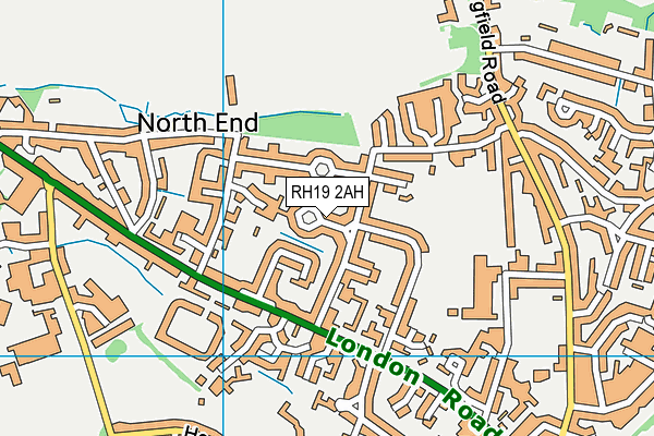 RH19 2AH map - OS VectorMap District (Ordnance Survey)