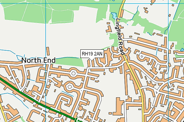 RH19 2AN map - OS VectorMap District (Ordnance Survey)
