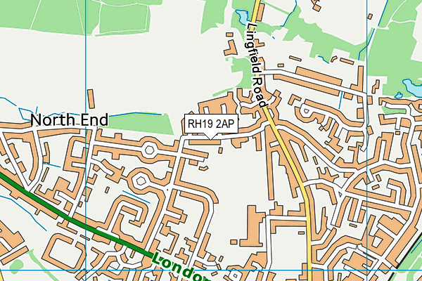 RH19 2AP map - OS VectorMap District (Ordnance Survey)