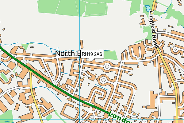 RH19 2AS map - OS VectorMap District (Ordnance Survey)