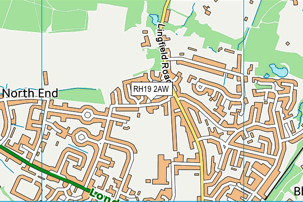 RH19 2AW map - OS VectorMap District (Ordnance Survey)