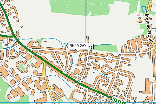 RH19 2AY map - OS VectorMap District (Ordnance Survey)