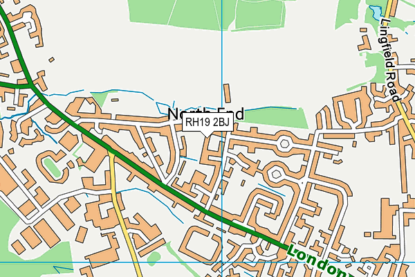 RH19 2BJ map - OS VectorMap District (Ordnance Survey)