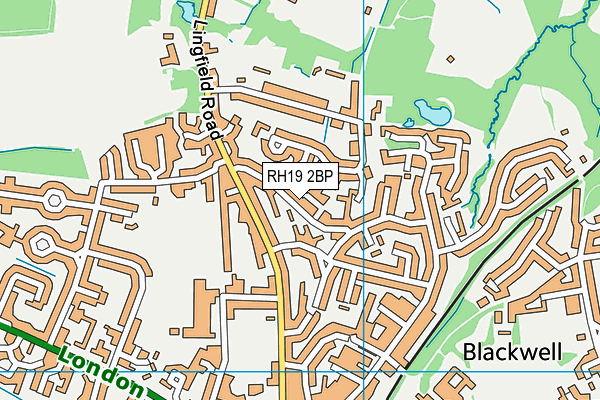 RH19 2BP map - OS VectorMap District (Ordnance Survey)
