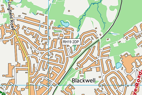 RH19 2DP map - OS VectorMap District (Ordnance Survey)