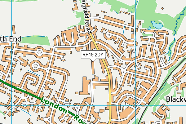 RH19 2DY map - OS VectorMap District (Ordnance Survey)