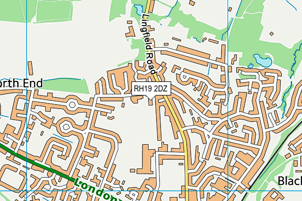 RH19 2DZ map - OS VectorMap District (Ordnance Survey)