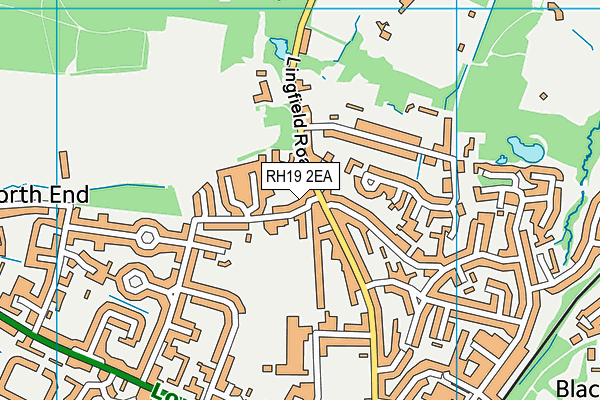 RH19 2EA map - OS VectorMap District (Ordnance Survey)