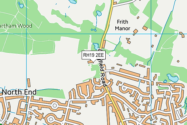 RH19 2EE map - OS VectorMap District (Ordnance Survey)
