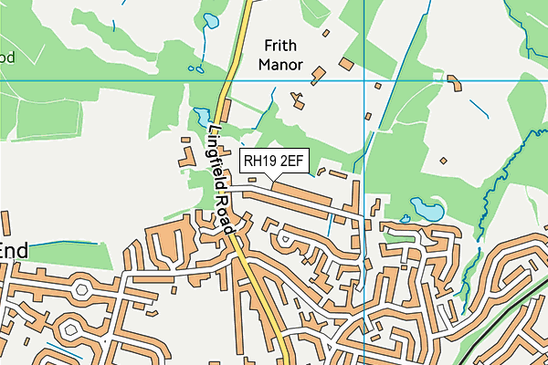 RH19 2EF map - OS VectorMap District (Ordnance Survey)