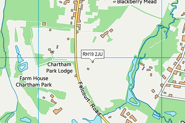 RH19 2JU map - OS VectorMap District (Ordnance Survey)