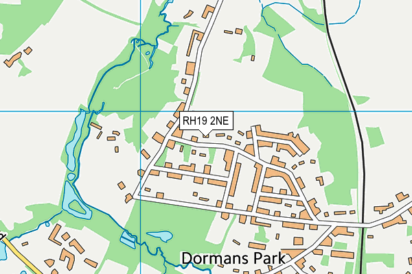 RH19 2NE map - OS VectorMap District (Ordnance Survey)