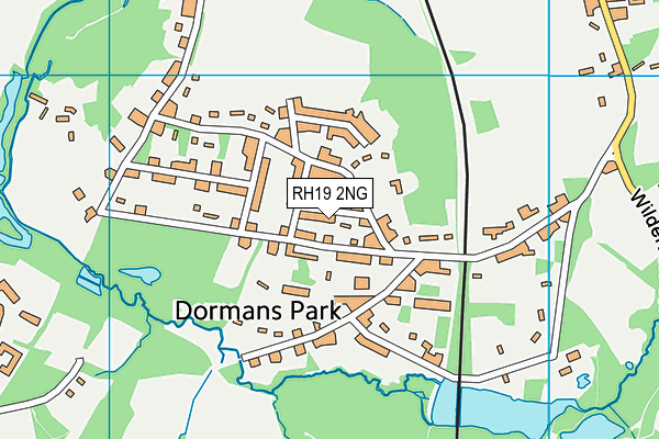 RH19 2NG map - OS VectorMap District (Ordnance Survey)