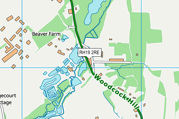 RH19 2RE map - OS VectorMap District (Ordnance Survey)