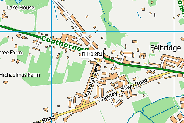 RH19 2RJ map - OS VectorMap District (Ordnance Survey)