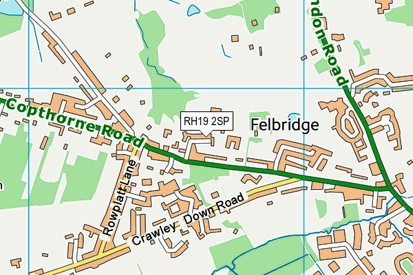 RH19 2SP map - OS VectorMap District (Ordnance Survey)