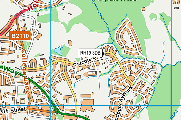 RH19 3DB map - OS VectorMap District (Ordnance Survey)