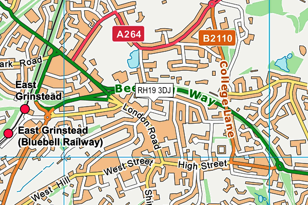 Puregym (East Grinstead) map (RH19 3DJ) - OS VectorMap District (Ordnance Survey)