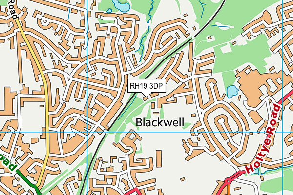 RH19 3DP map - OS VectorMap District (Ordnance Survey)