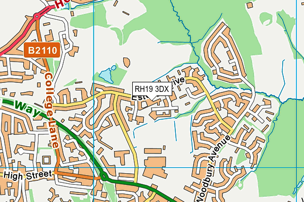 RH19 3DX map - OS VectorMap District (Ordnance Survey)