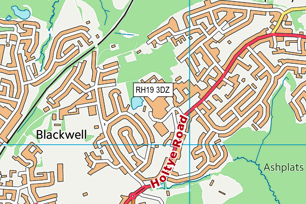 RH19 3DZ map - OS VectorMap District (Ordnance Survey)