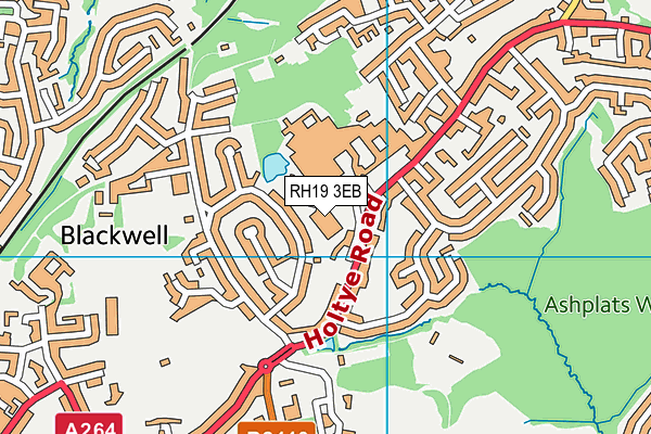 RH19 3EB map - OS VectorMap District (Ordnance Survey)