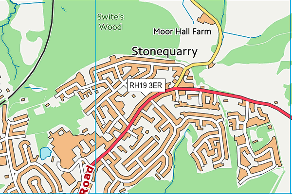 RH19 3ER map - OS VectorMap District (Ordnance Survey)