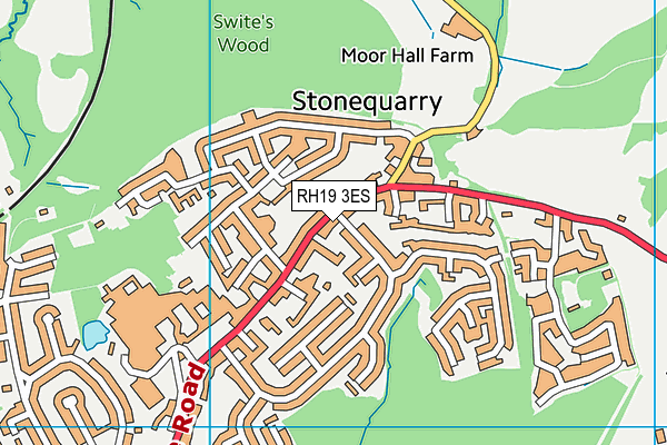 RH19 3ES map - OS VectorMap District (Ordnance Survey)