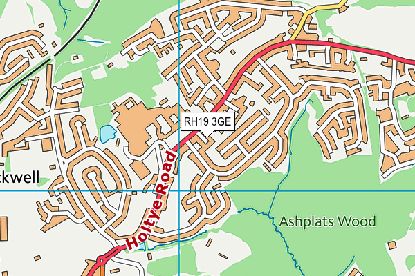 RH19 3GE map - OS VectorMap District (Ordnance Survey)