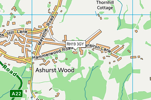 RH19 3GY map - OS VectorMap District (Ordnance Survey)